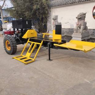 家用柴火劈木机小型220v电动液压劈柴机小钢炮劈柴神器 立式