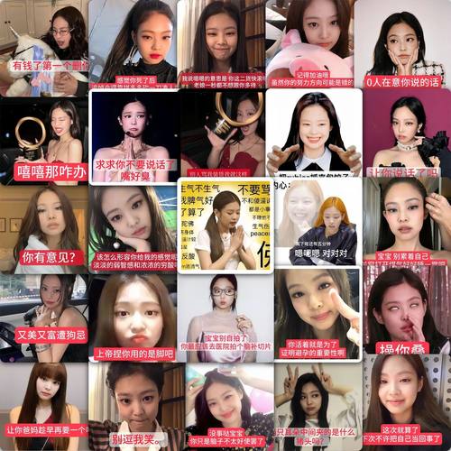 jennie刻薄表情包贴纸