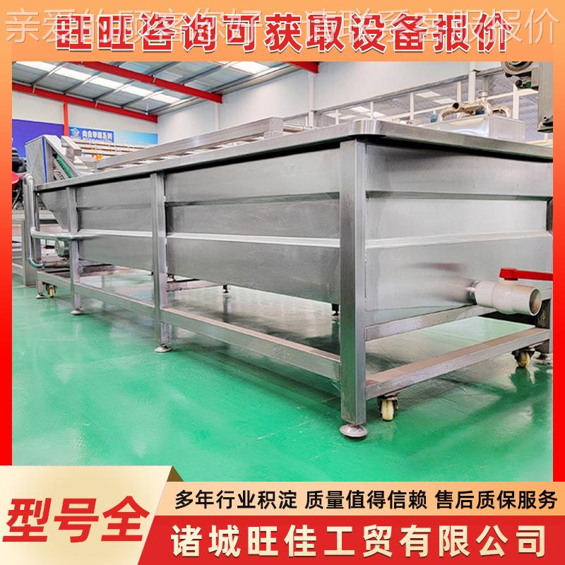 全动多OWB功能气泡淋式清洗机 果自喷蔬清净洗机 辣白菜加工菜设