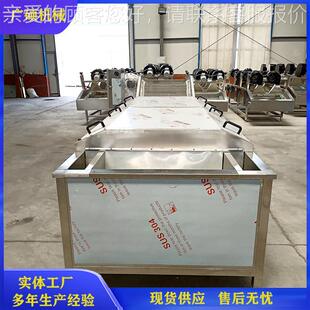 茨菇烫机 全自IZS流动香菇漂预煮机 商用大型电加热青杏鲍菇杀水