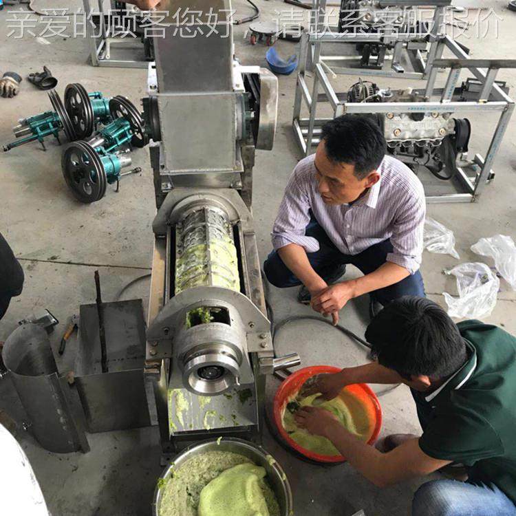 推浆荐榨汁机枇杷龙眼去WDN榨汁机火核龙果菠萝打机菜辣韭椒榨汁,清洗/食品/商业设备,果蔬加工设备,淘宝优惠券,粉丝福利购,淘宝优惠卷
