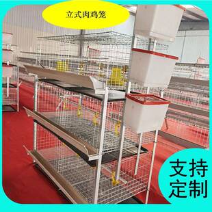 立式肉鸡笼小鸡笼鸡舍肉鸡笼