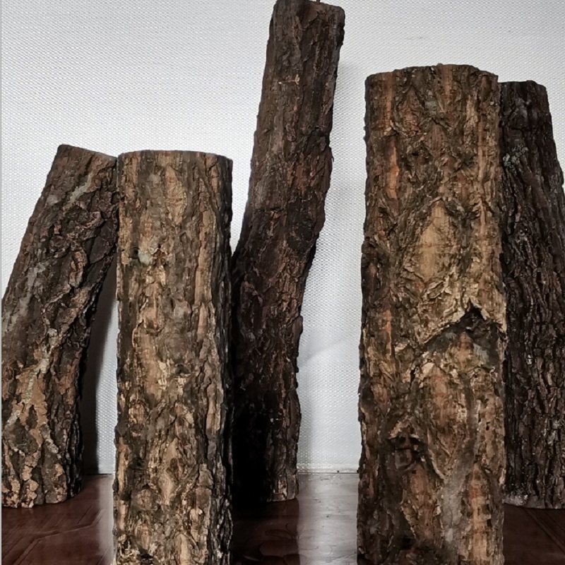 香槟树桩树干沉木水草缸水陆缸雨林缸造景树皮爬宠乌龟晒台杜鹃根