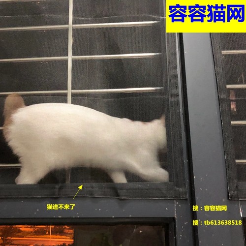 封窗防猫网免打孔纱窗防猫跳楼神器宠物防逃订制推拉窗簾防蚊自装