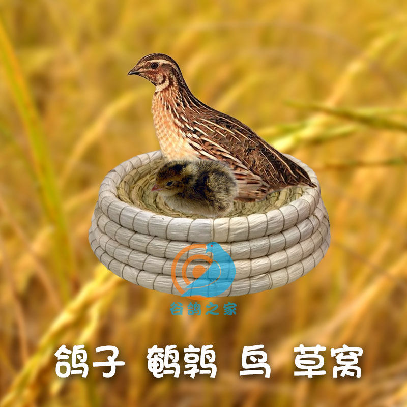 鸽巢窝鸽子窝草窝防侧翻鹌鹑窝赛鸽信鸽用品用具草编鸽具鸟窝鸟巢