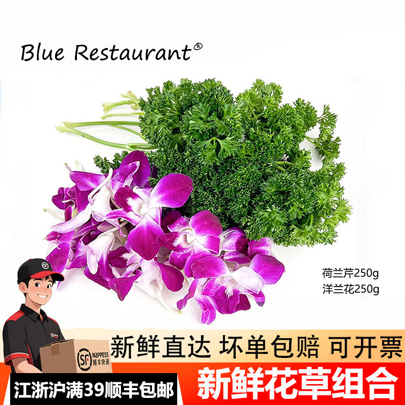 新鲜杨兰花250g酒店火锅摆盘装饰
