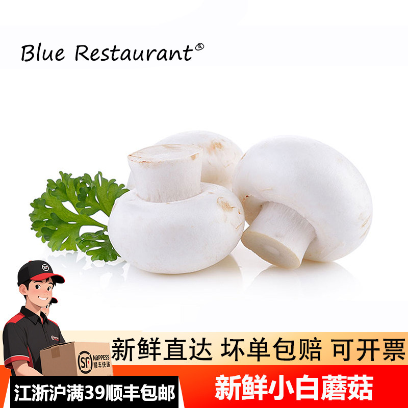 蓝餐厅新鲜白蘑菇口菇
