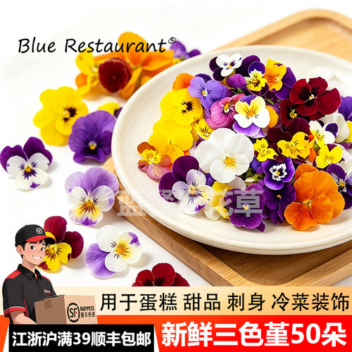 新鲜三色堇花角堇餐饮摆盘花草