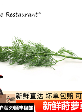 【蓝餐厅】新鲜莳萝草泰国可食用香料Dill刁草餐饮调味装饰叶