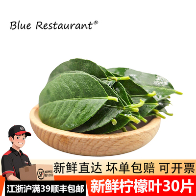 新鲜柠檬叶摆盘装饰鱼生佐料