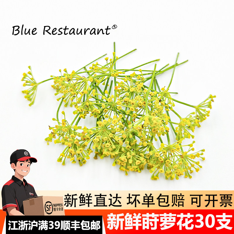 新鲜莳萝花30支茴香花餐厅甜品