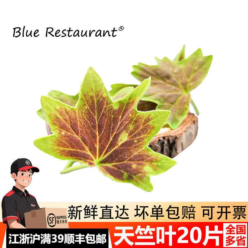 新鲜天竺葵叶摆盘烘焙蛋糕装饰