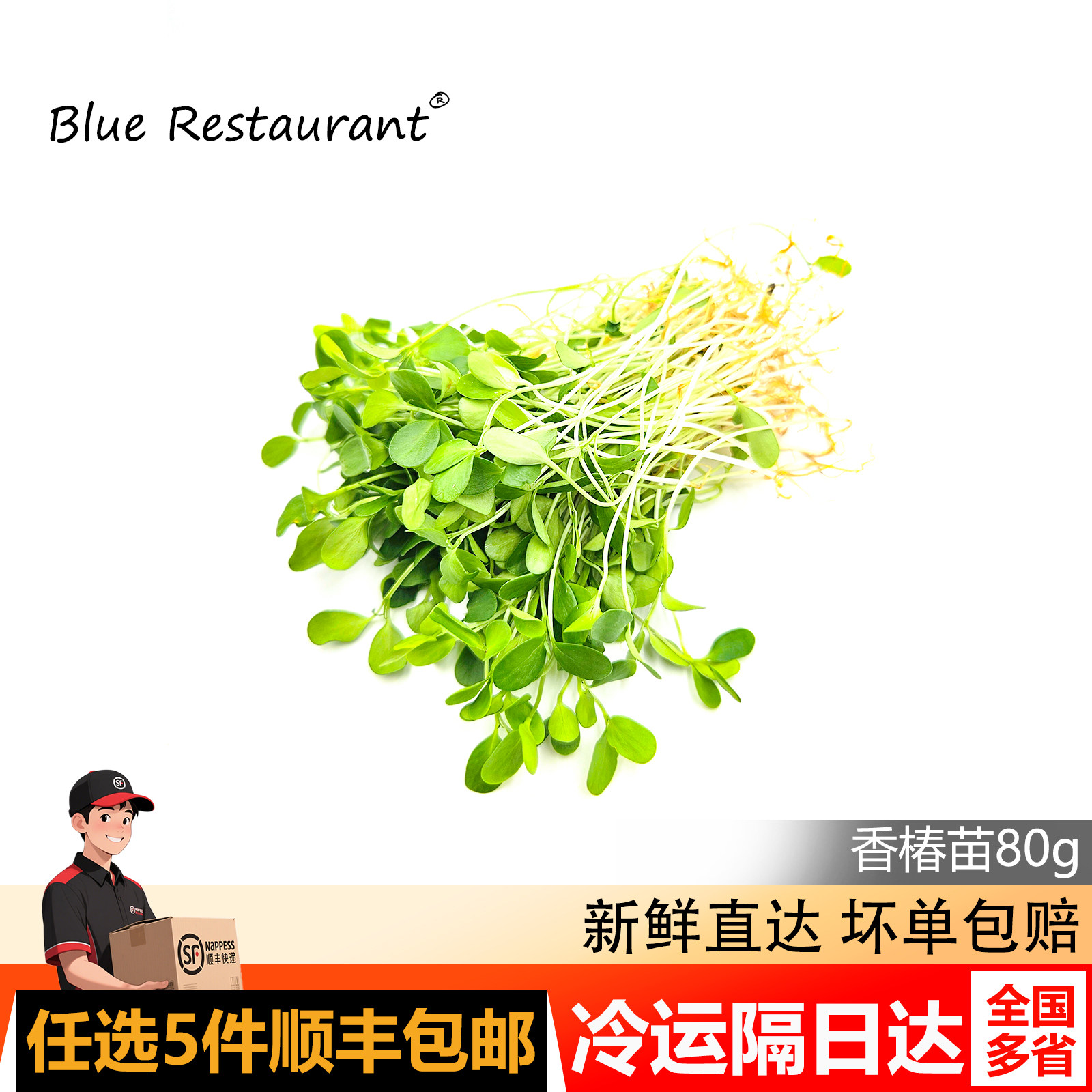 香椿苗西餐日料烘焙装饰点缀