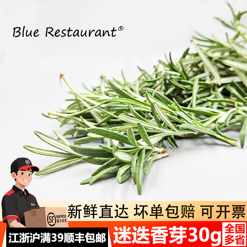 新鲜迷迭香芽30g可食用烧烤调料