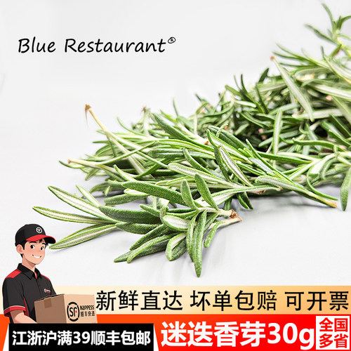 新鲜迷迭香芽30g可食用烧烤调料