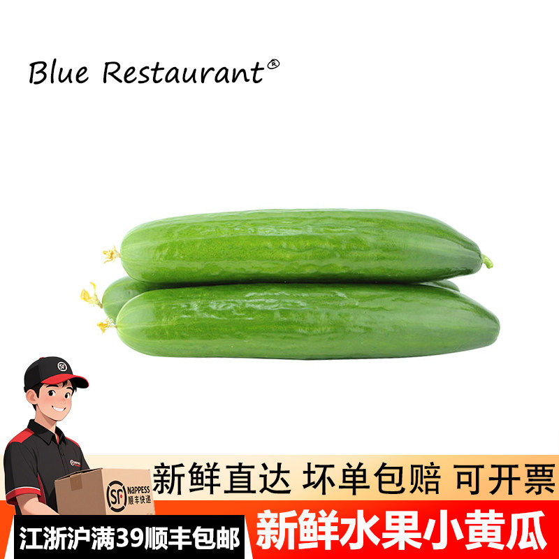 蓝餐厅500g新鲜水果黄瓜小黄瓜