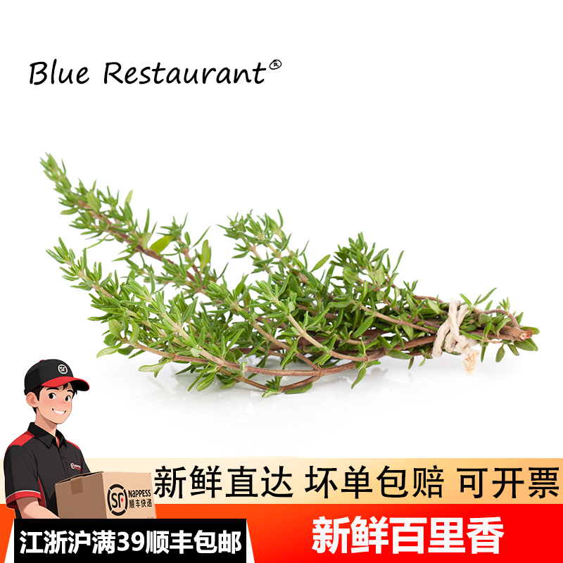 百里香新鲜食用香料调味料