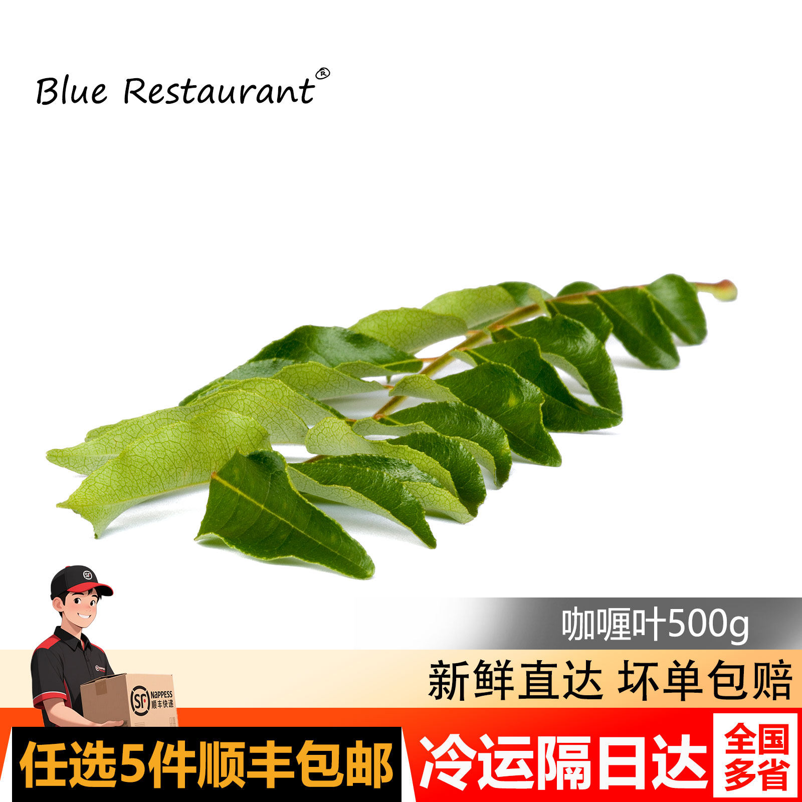 泰国进口咖喱叶500g咖喱叶