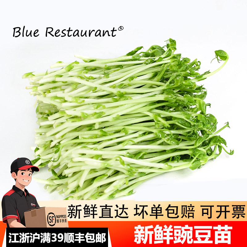 蓝餐厅新鲜豌豆苗500g食用花生苗