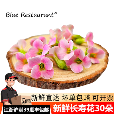 粉色四星花30朵摆盘花草冷菜装饰