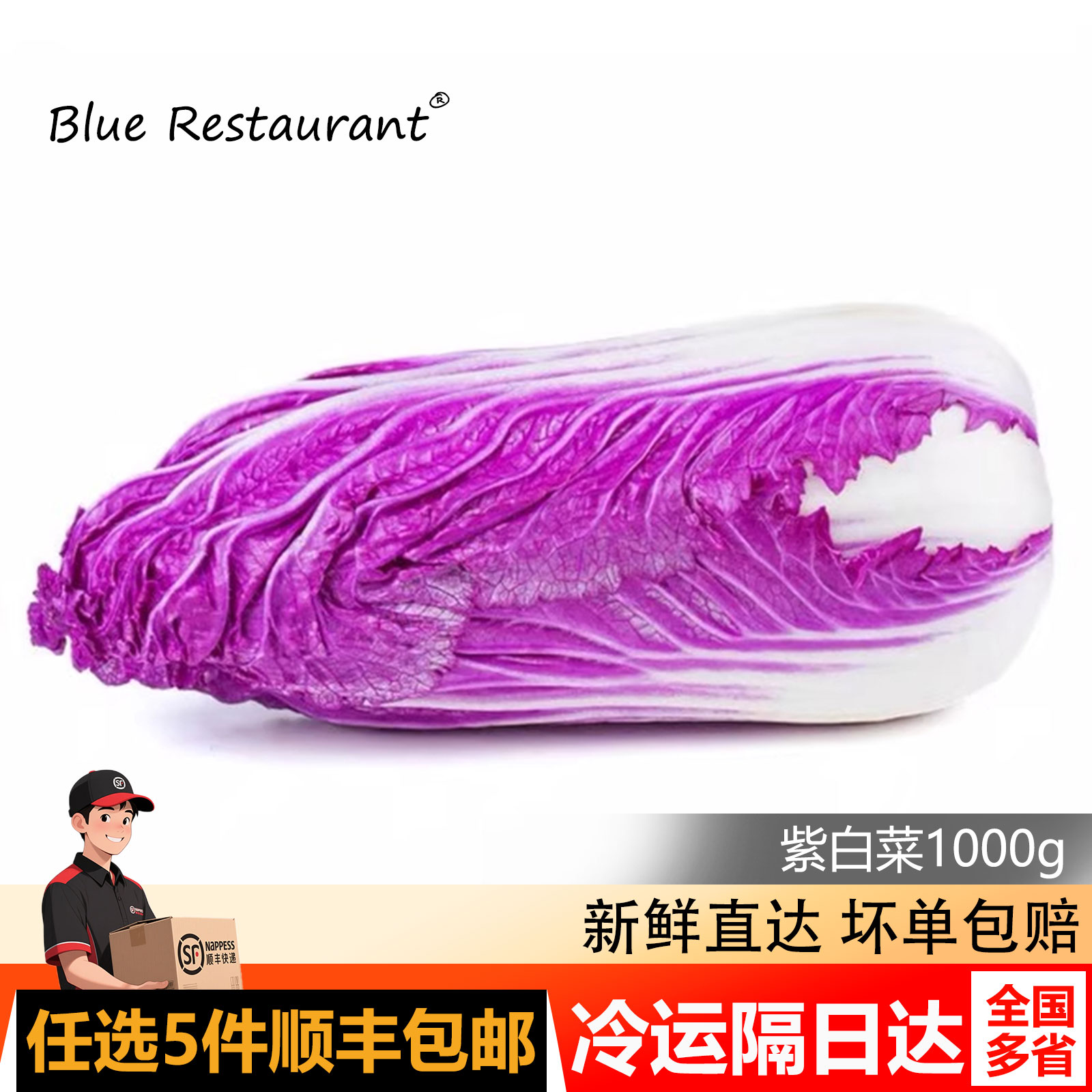 新鲜紫色大白菜紫白菜