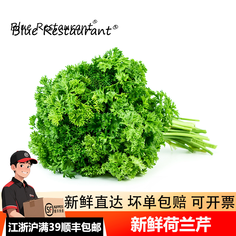 荷兰芹500g法香火锅冷盘配菜