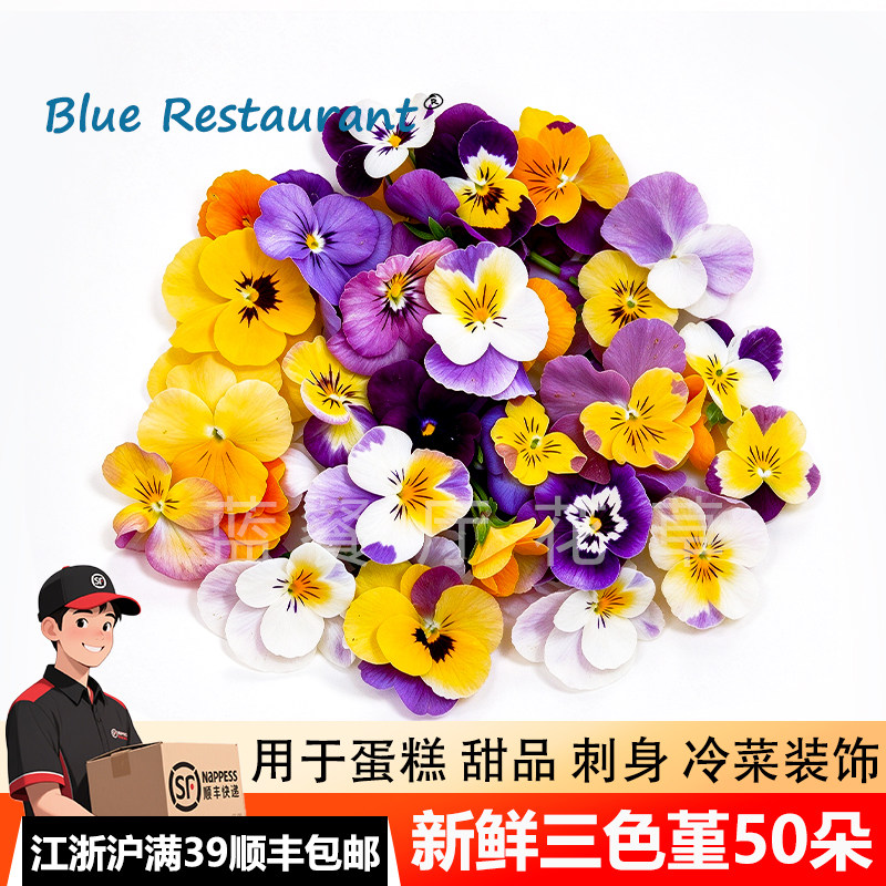 新鲜三色堇鲜花西餐花草摆盘装饰