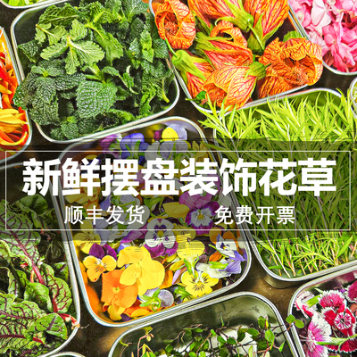 餐饮摆盘装饰花草新鲜植物