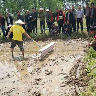 谷种点播机水田人力水稻播种机农用机械水稻直播机水稻播种机