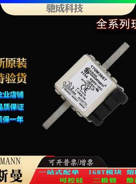 巴斯曼170M3667170M3668170M3669加工制作销售高速熔断器