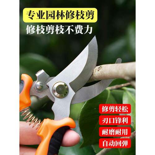 德国剪刀套装组合家用修枝剪摘果神器专用工具园艺修剪花卉不锈钢