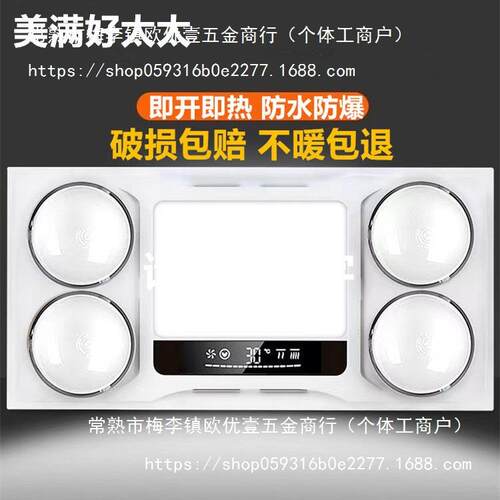 灯暖浴霸集成吊顶300×600排气扇照明一体卫生间浴室吸顶老式暖灯