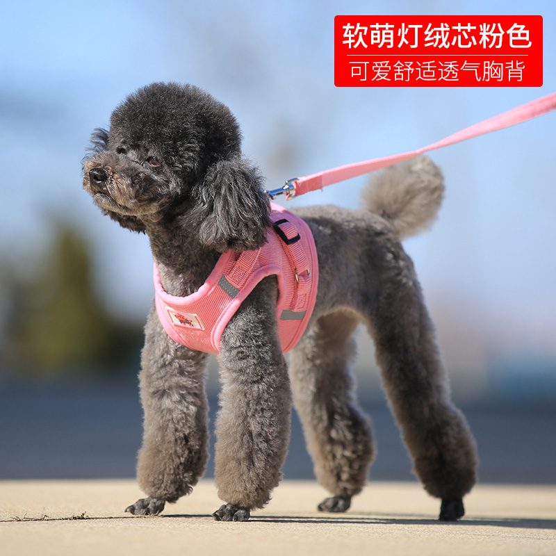 狗狗牵引绳小型犬泰迪贵宾背心式狗背带比熊博美狗链子宠物遛狗绳