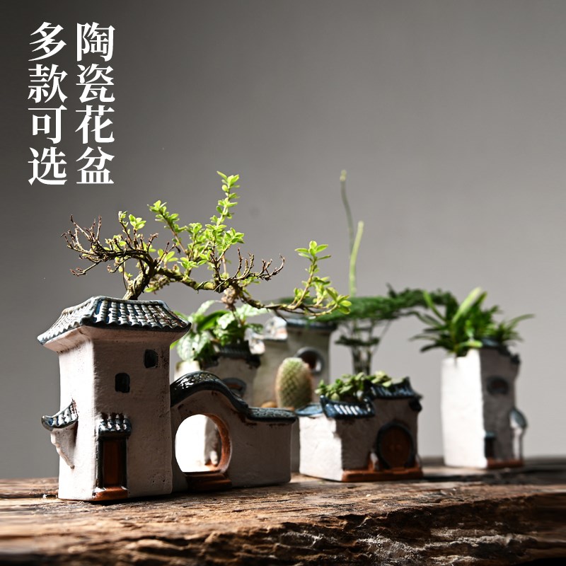 文竹多肉花盆禅意陶瓷装饰摆件客厅创意微景观植物盆栽广州子乐湾