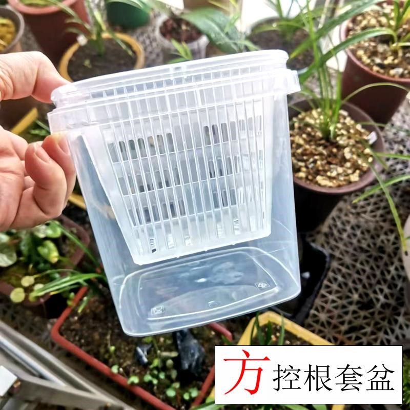 蝴蝶兰专用套盆透气养根控根半水培免浇水方形花盆内外桶搭配套装,鲜花速递/花卉仿真/绿植园艺,花盆,淘宝优惠券,粉丝福利购,淘宝优惠卷