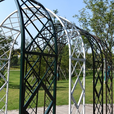 定制欧式铁艺花园花架爬藤架公园户外鲜花拱门月季庭院花支架