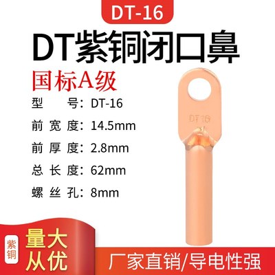 铜线鼻铜接头DT16平方电缆线接压扣线耳铜鼻子堵油铜端子国标