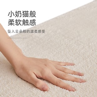 现代轻奢床边地毯卧室加厚床边毯客厅房间床前地垫床边家用可机洗