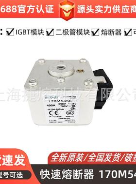 低压快速熔断器170M5458170M5460170M5462电子元器件库存充足