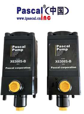 Pascal帕斯卡气动泵X6308S-BX6308S-CX6308S-AX6308S-D