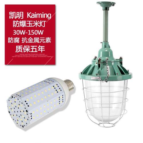 防爆工地用灯led节能灯泡螺口E27E2680w100w125w150w玉米灯