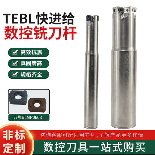 TEBL06快进给双面铣刀杆