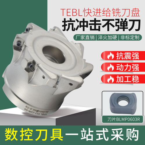 TEBL06快进给数控铣刀盘
