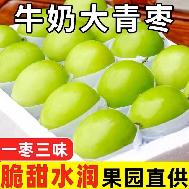 福建现货牛奶枣大青枣5新鲜冬枣贵妃鲜枣新鲜水果脆枣子东枣包邮