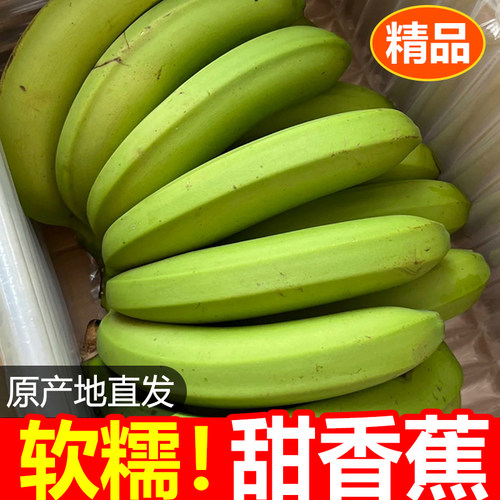 广西高山甜香蕉新鲜水果当季现摘大芭蕉小米蕉甜香蕉整箱自然熟10