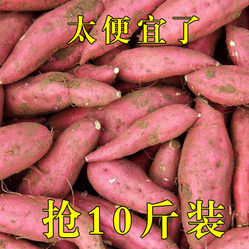正宗新鲜沙地蜜薯香甜红皮黄心地瓜山芋沙地番薯营养丰富新鲜蔬菜