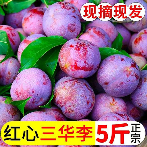 正宗三华李5斤新鲜李子当季水果现摘红心三月李农家大果整箱包邮3
