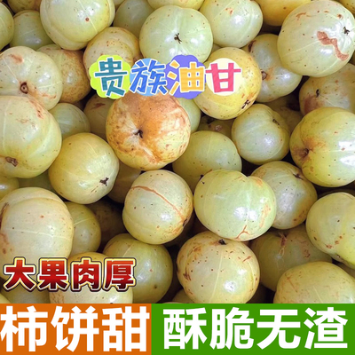 新鲜采摘青油甘果余甘果牛甘果滇橄榄当季油柑酸水果余甘子包邮