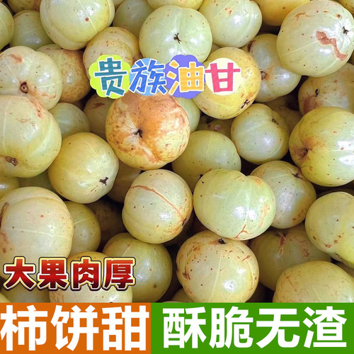 新鲜采摘青油甘果余甘果牛甘果滇橄榄当季油柑酸水果余甘子包邮