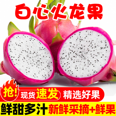 正宗白心火龙果10斤新鲜甜白肉火龙果当季热带水果整箱包邮